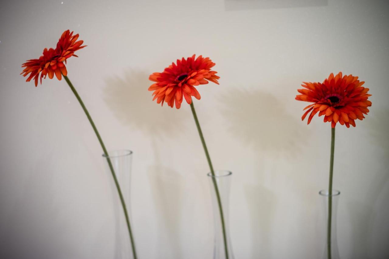 Appartamento Wietora Wawelofts